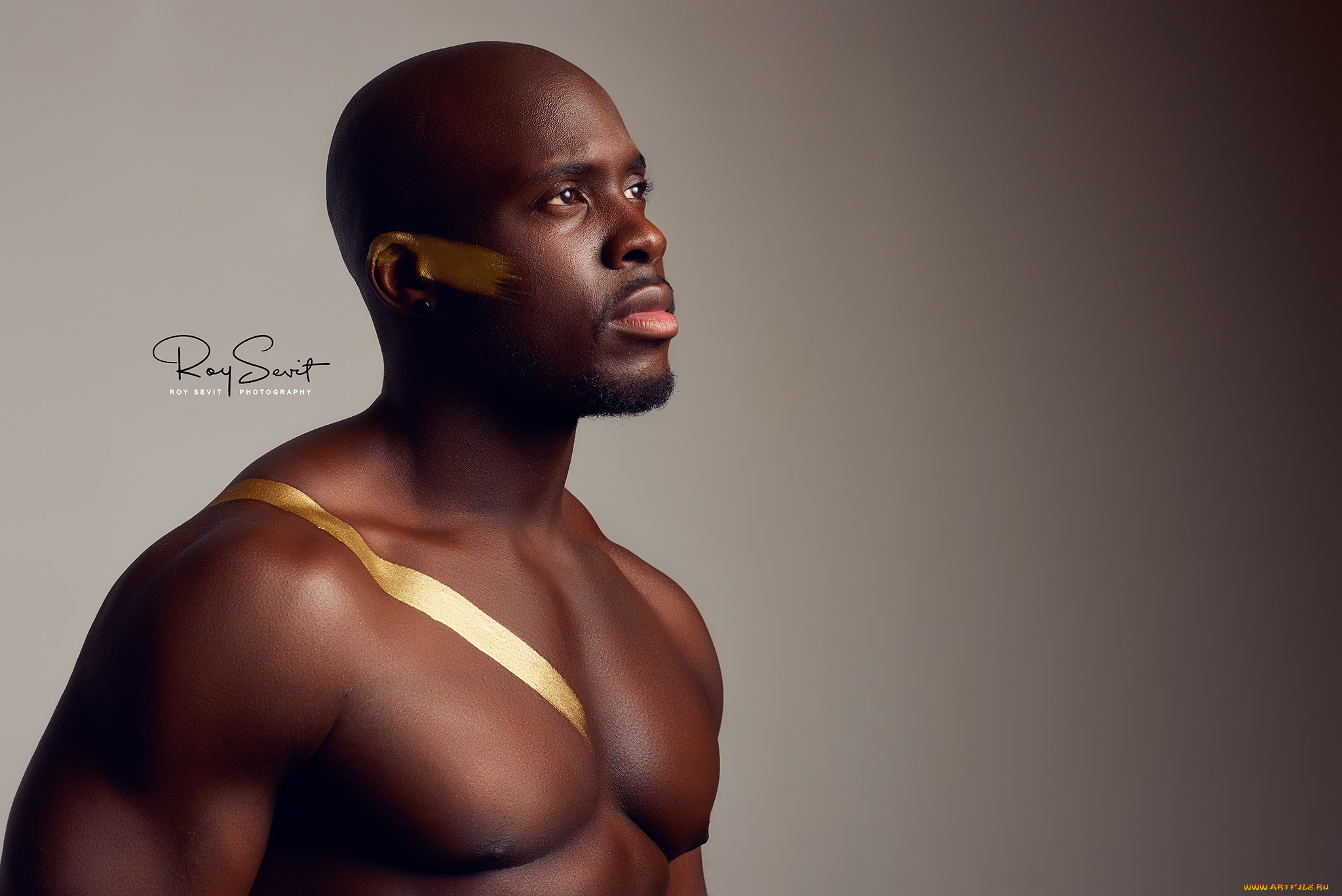мужчины, -unsort, темная, кожа, золото, раскраска, для, тела, взгляд, в, сторону, дуэйн, вестенбург, крупный, план, водяные, знаки, простой, фон, чернокожие, без, рубашки, студия, мускулы, roy, sevit, dwayne, westenburg