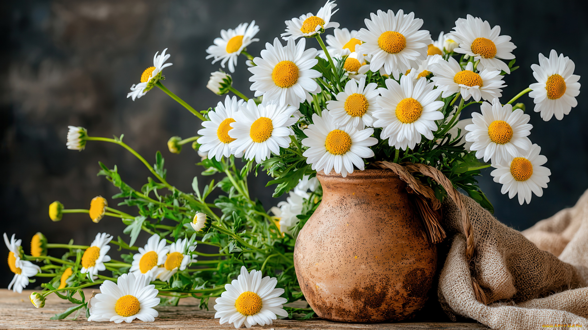 3д, графика, цветы, , flowers, мешковина, кувшин, ромашки