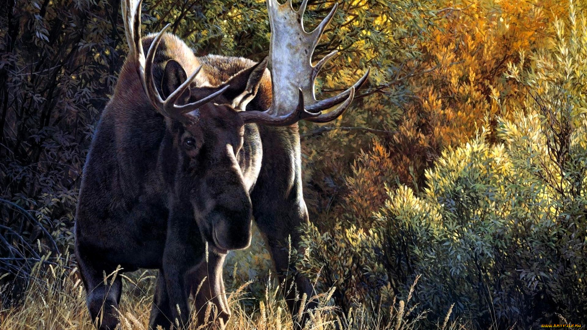 рисованное, животные, , лоси, лось, рога, трава, кусты, деревья, лес, осень