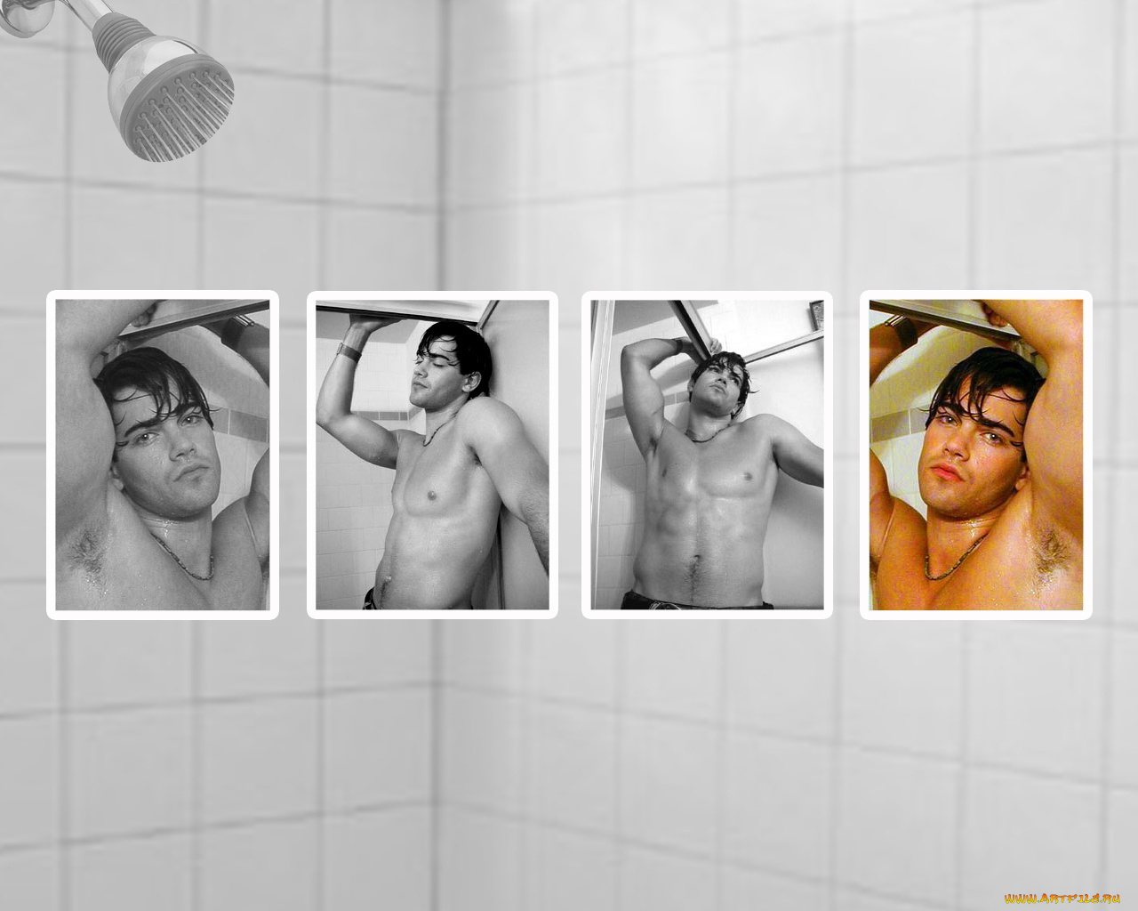 jesse, metcalfe, мужчины