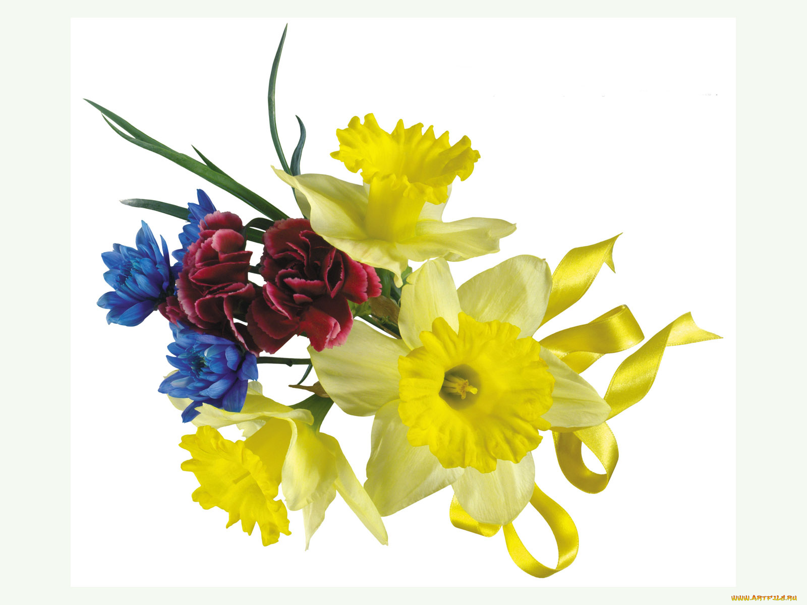 цветы, букеты, композиции