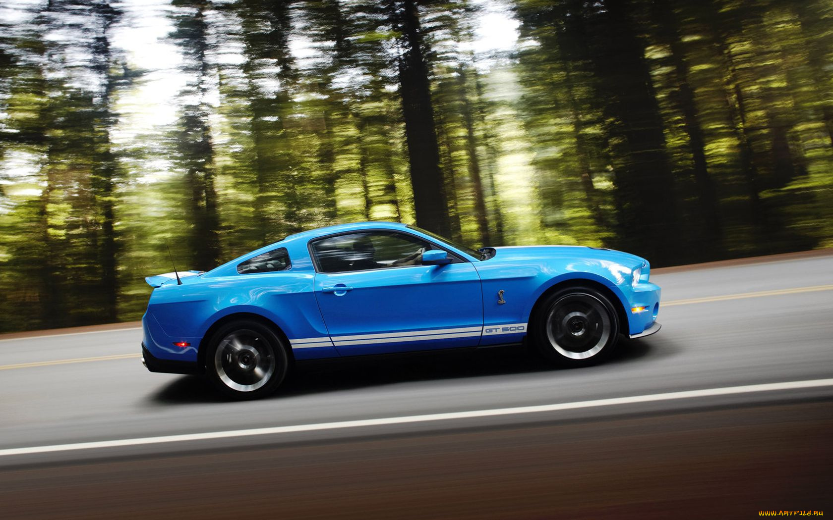 2010, ford, shelby, gt500, автомобили, mustang