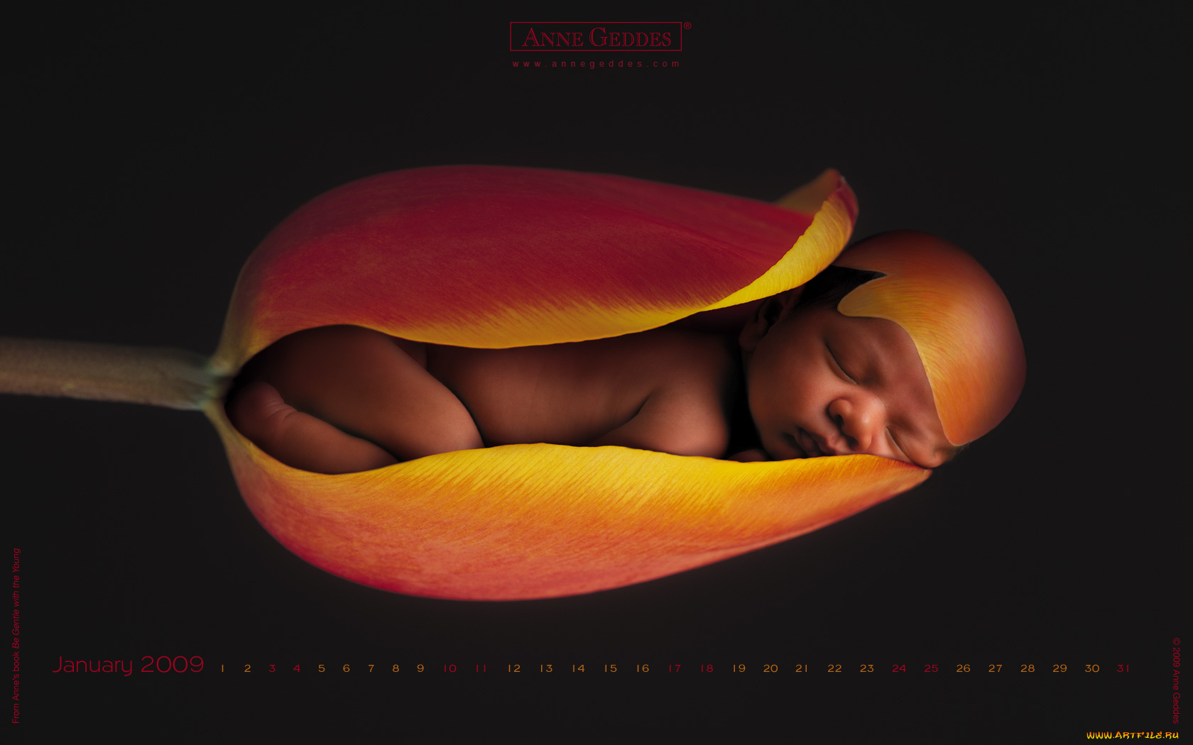 календари, дети