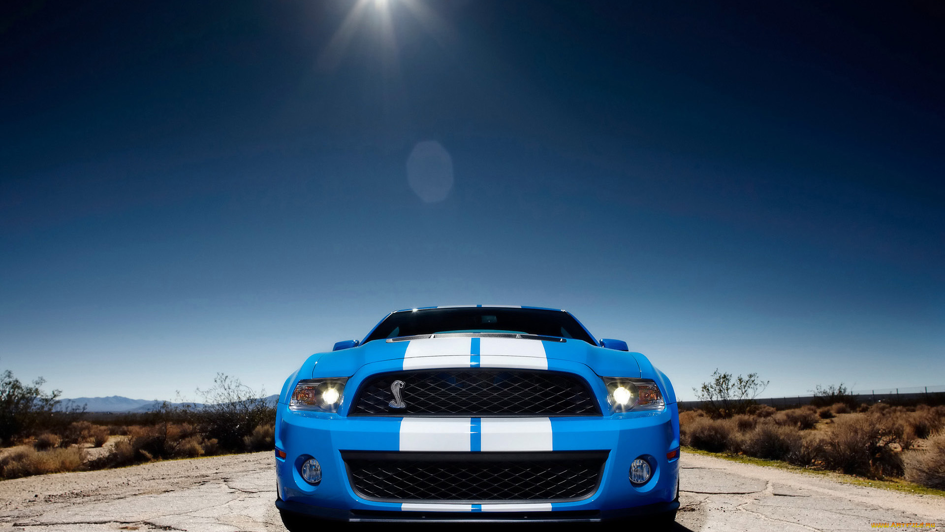 2010, ford, shelby, gt500, автомобили