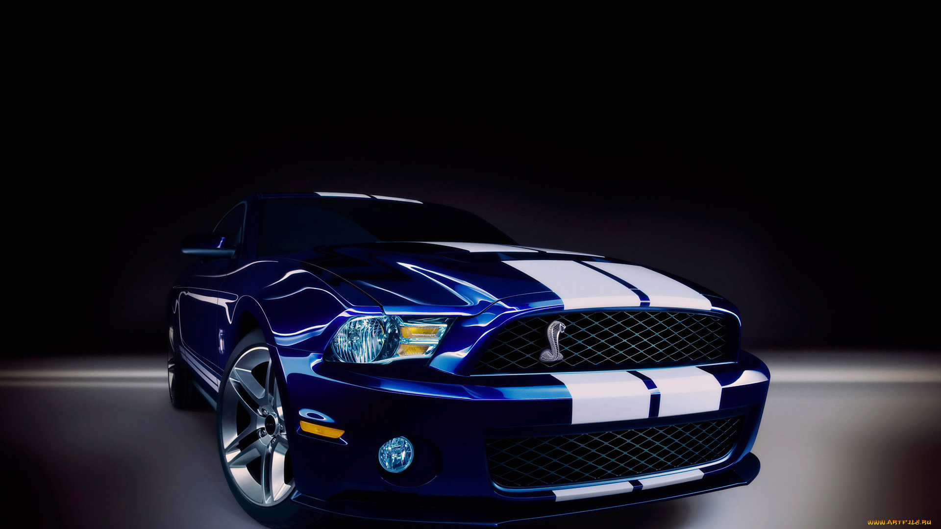 2010, ford, shelby, gt500, автомобили