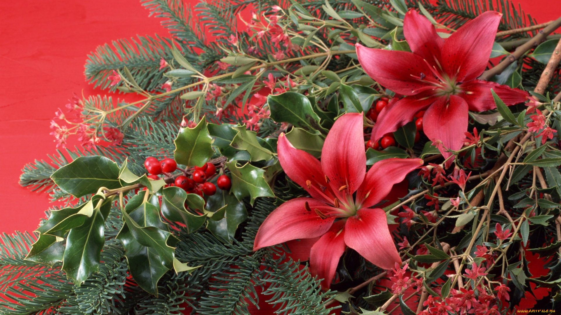 цветы, разные, вместе