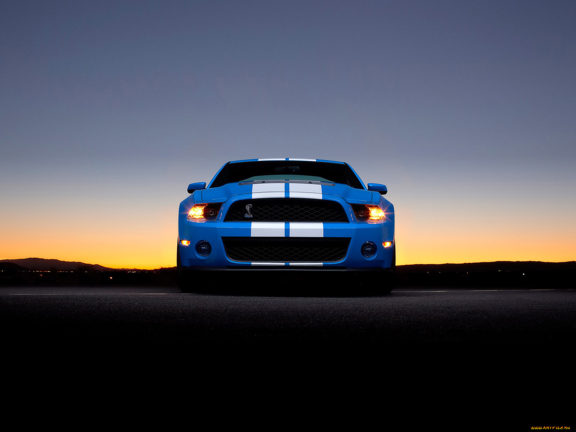 2010, ford, shelby, gt500, автомобили