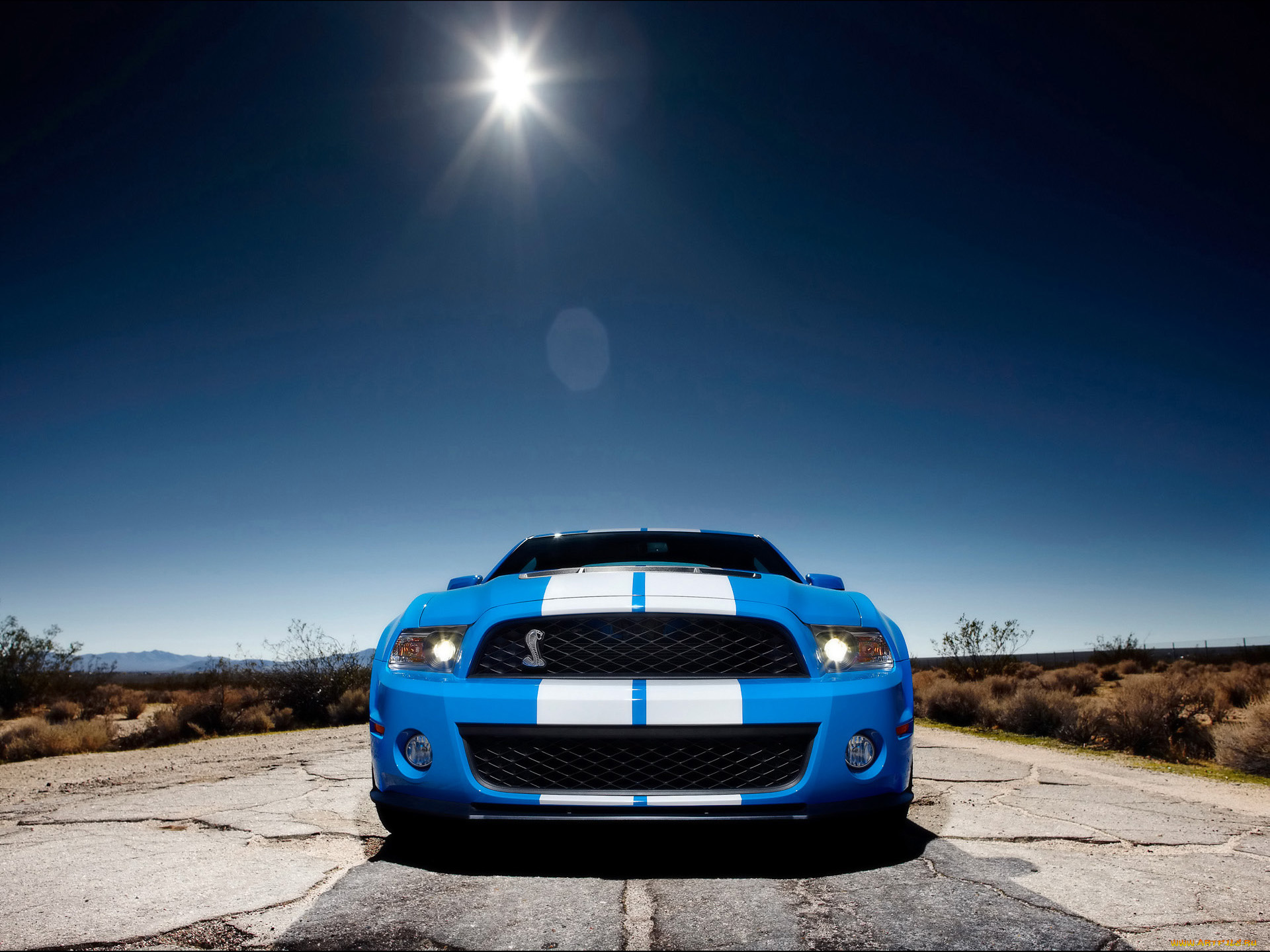 2010, ford, shelby, gt500, автомобили