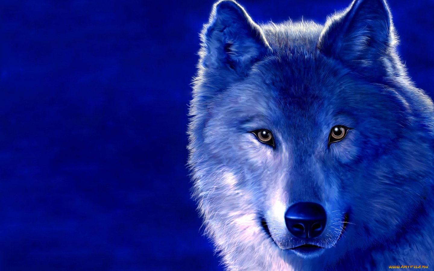 рисованные, животные, волки