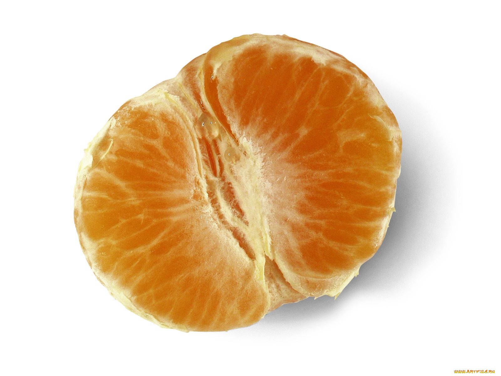 еда, цитрусы