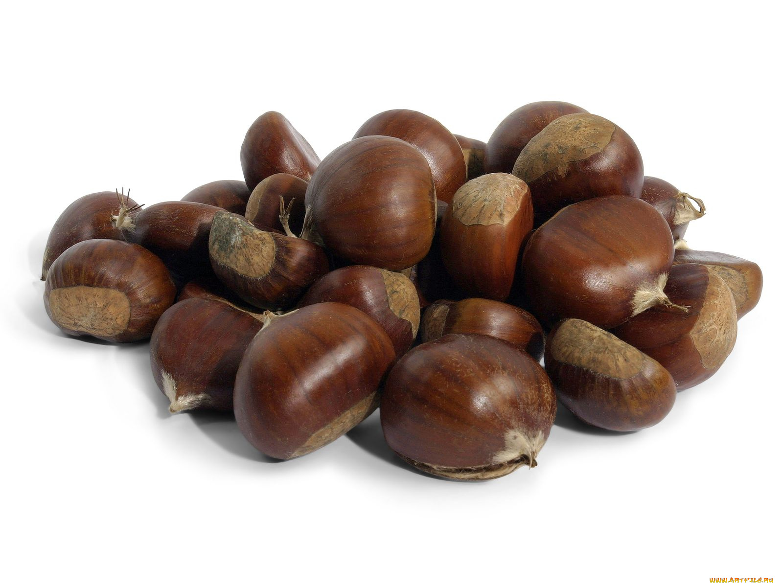 еда, орехи, каштаны