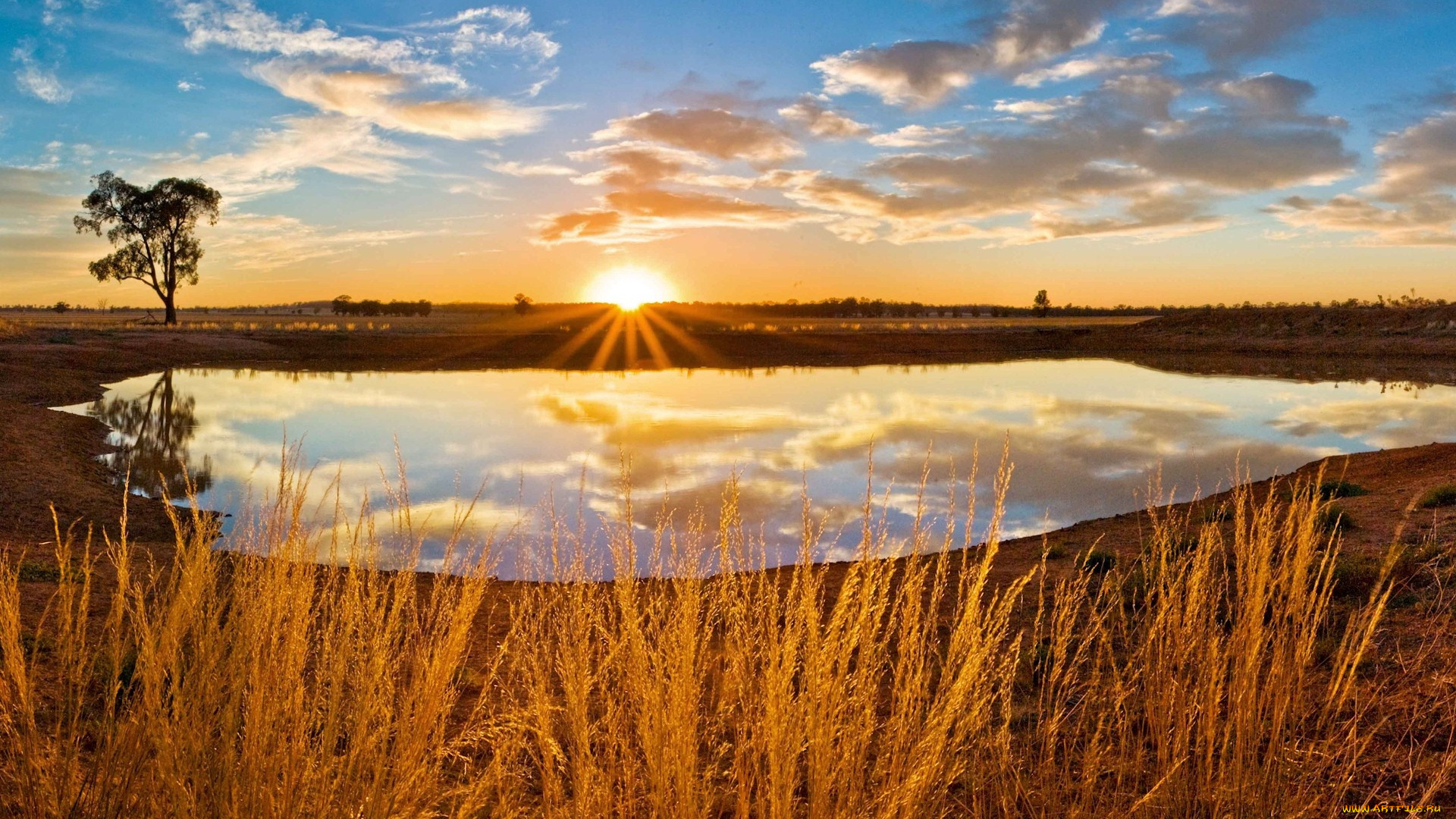 природа, восходы, закаты