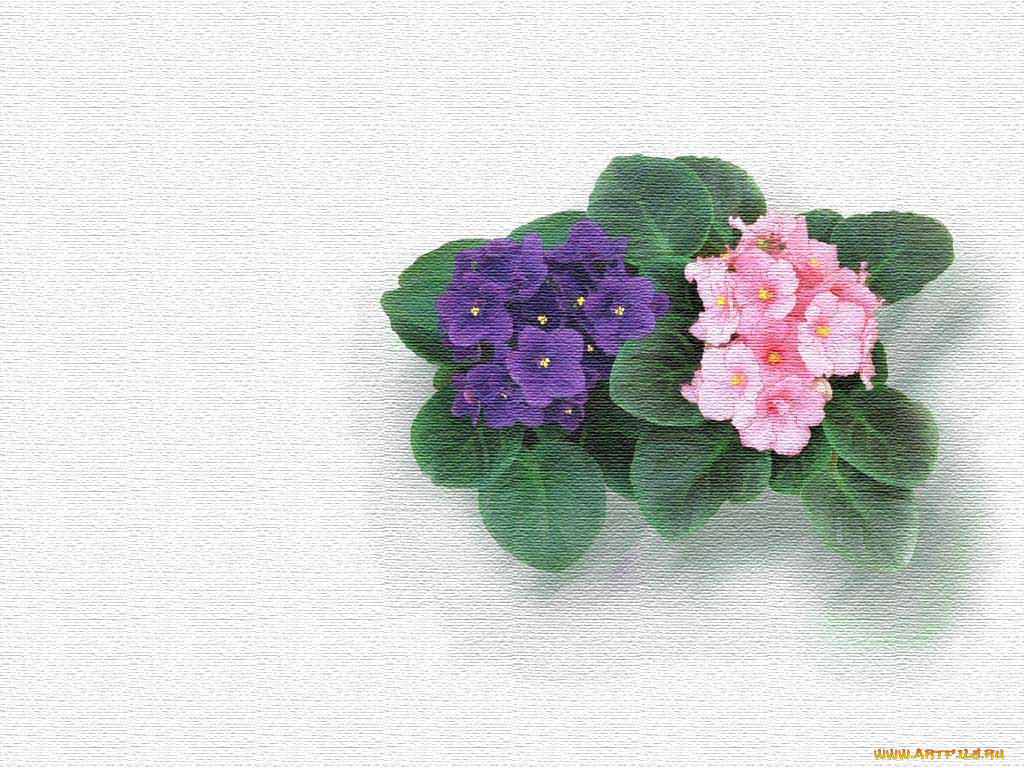 рисованные, цветы