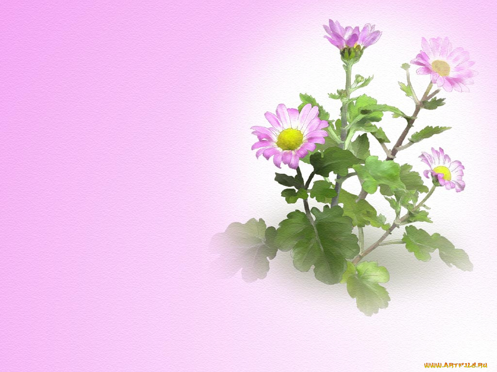 рисованные, цветы