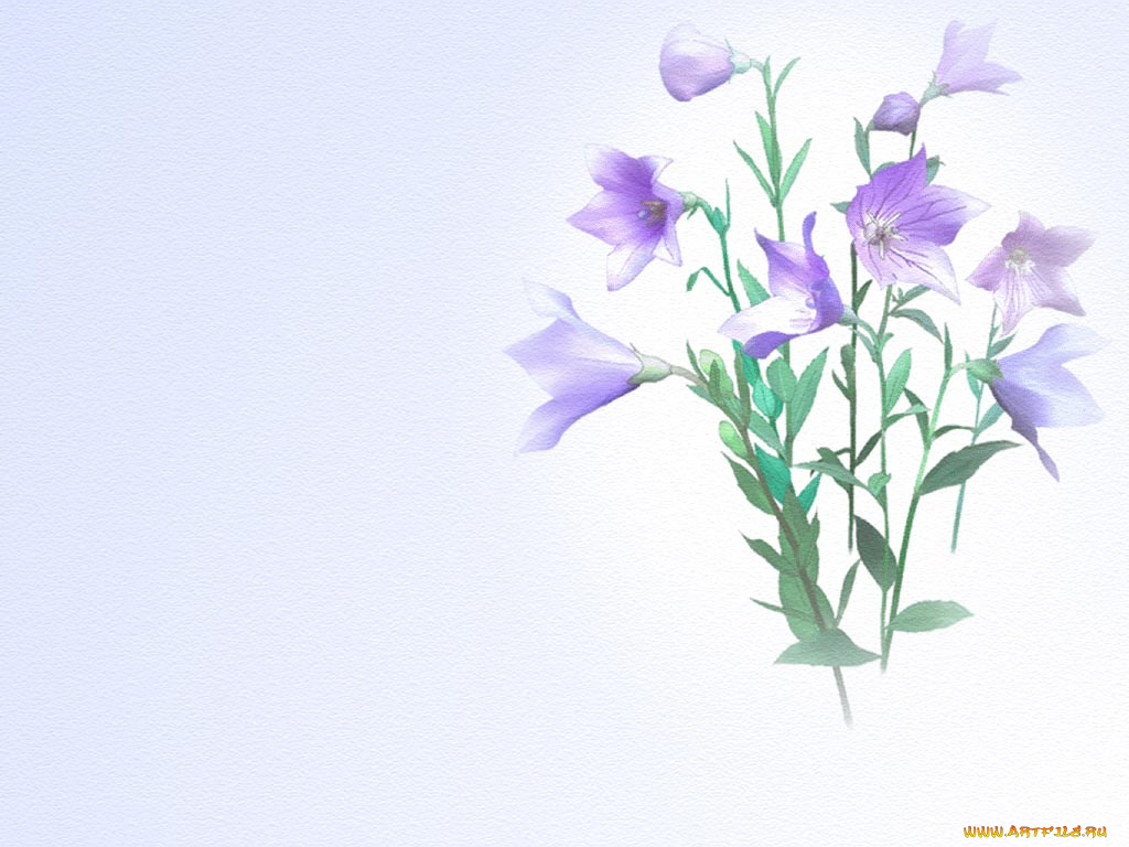 рисованные, цветы