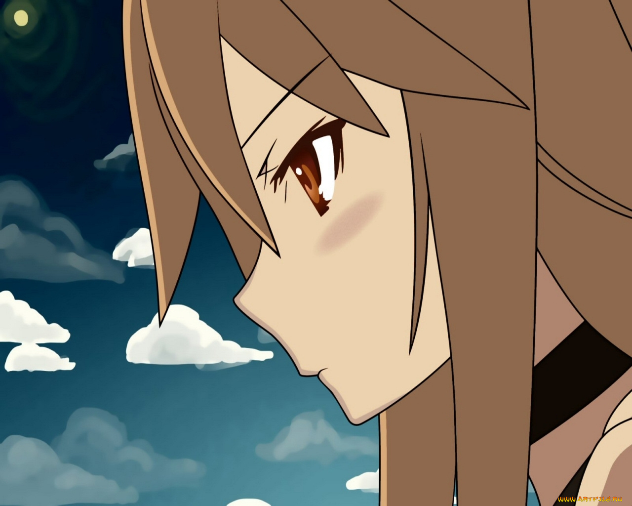 аниме, ookami, san, to, shichinin, no, nakama, tachi