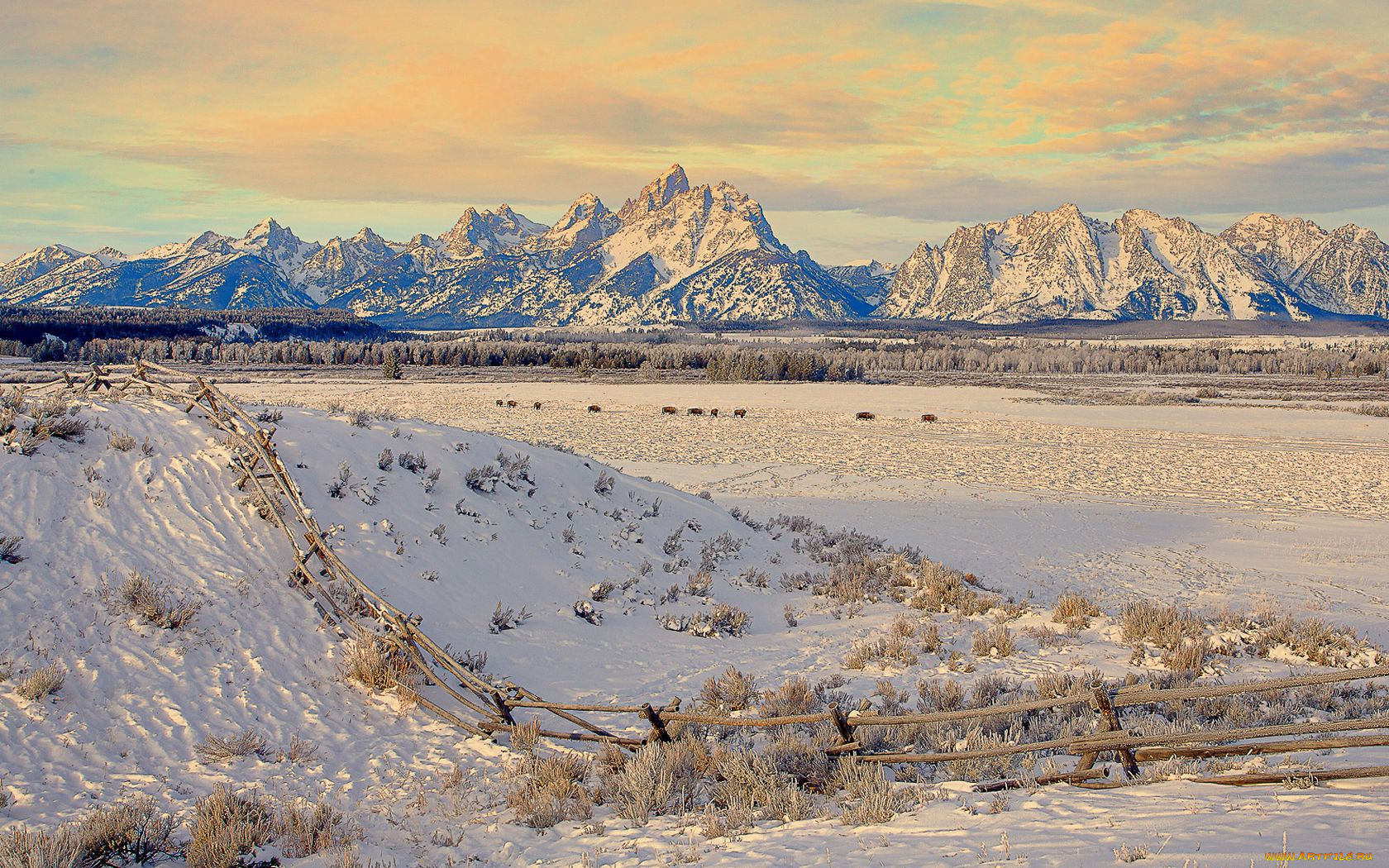 природа, зима