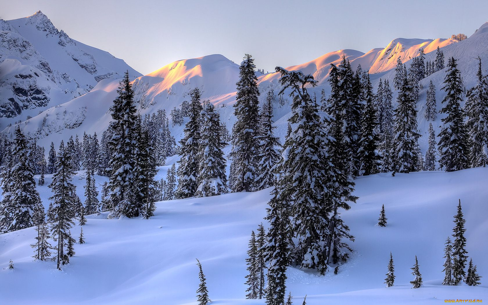 природа, зима