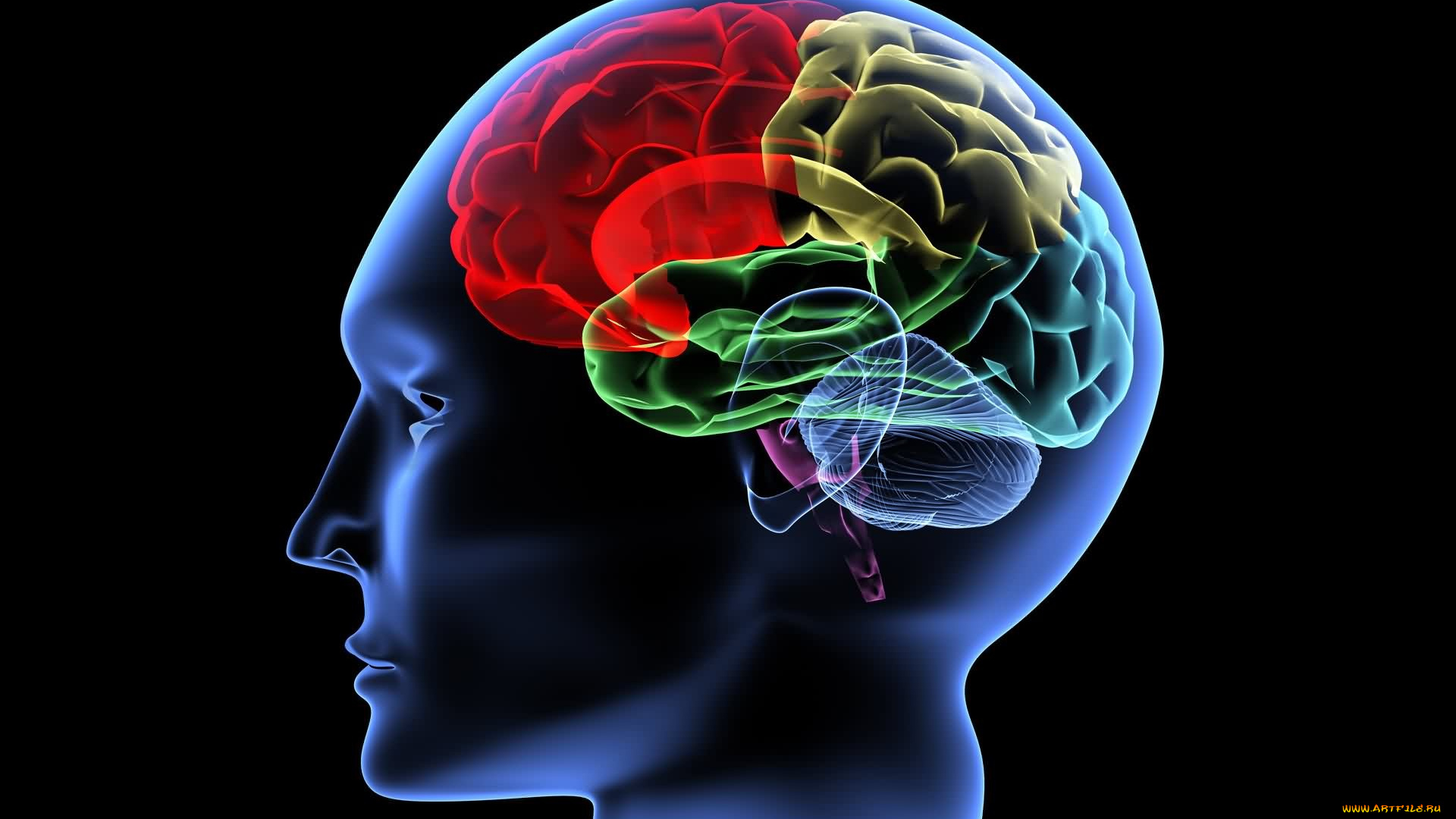 3д, графика, другое