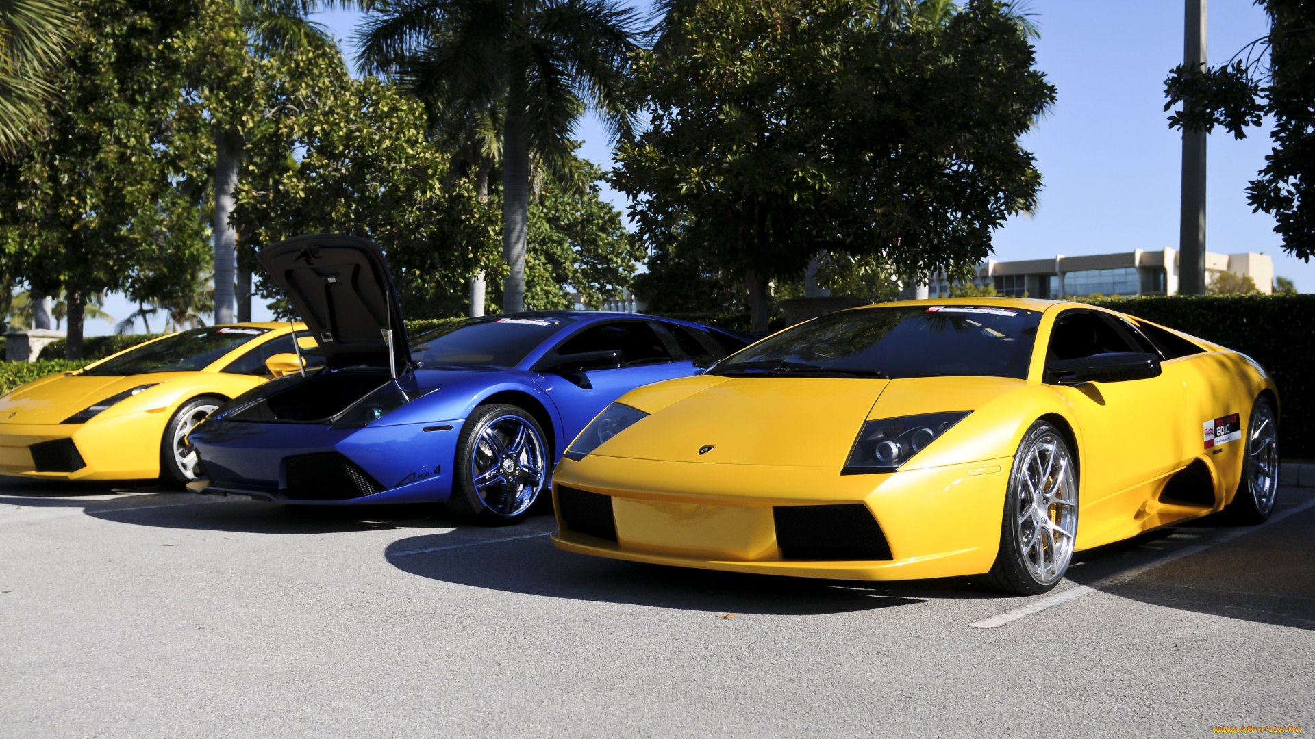 lamborghini, murcielago, lp640, автомобили, выставки, уличные, фото