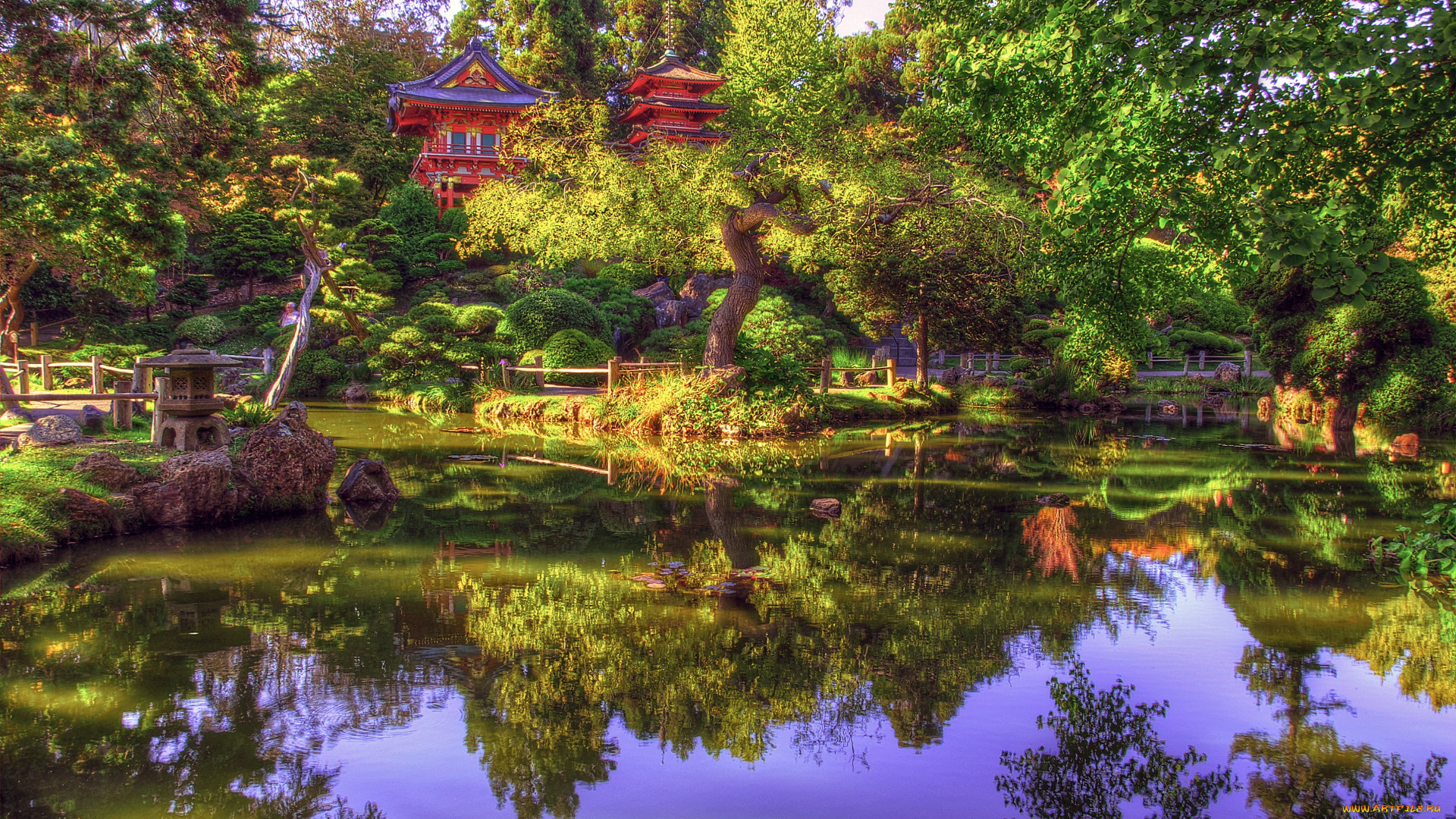 природа, парк, японский, сад