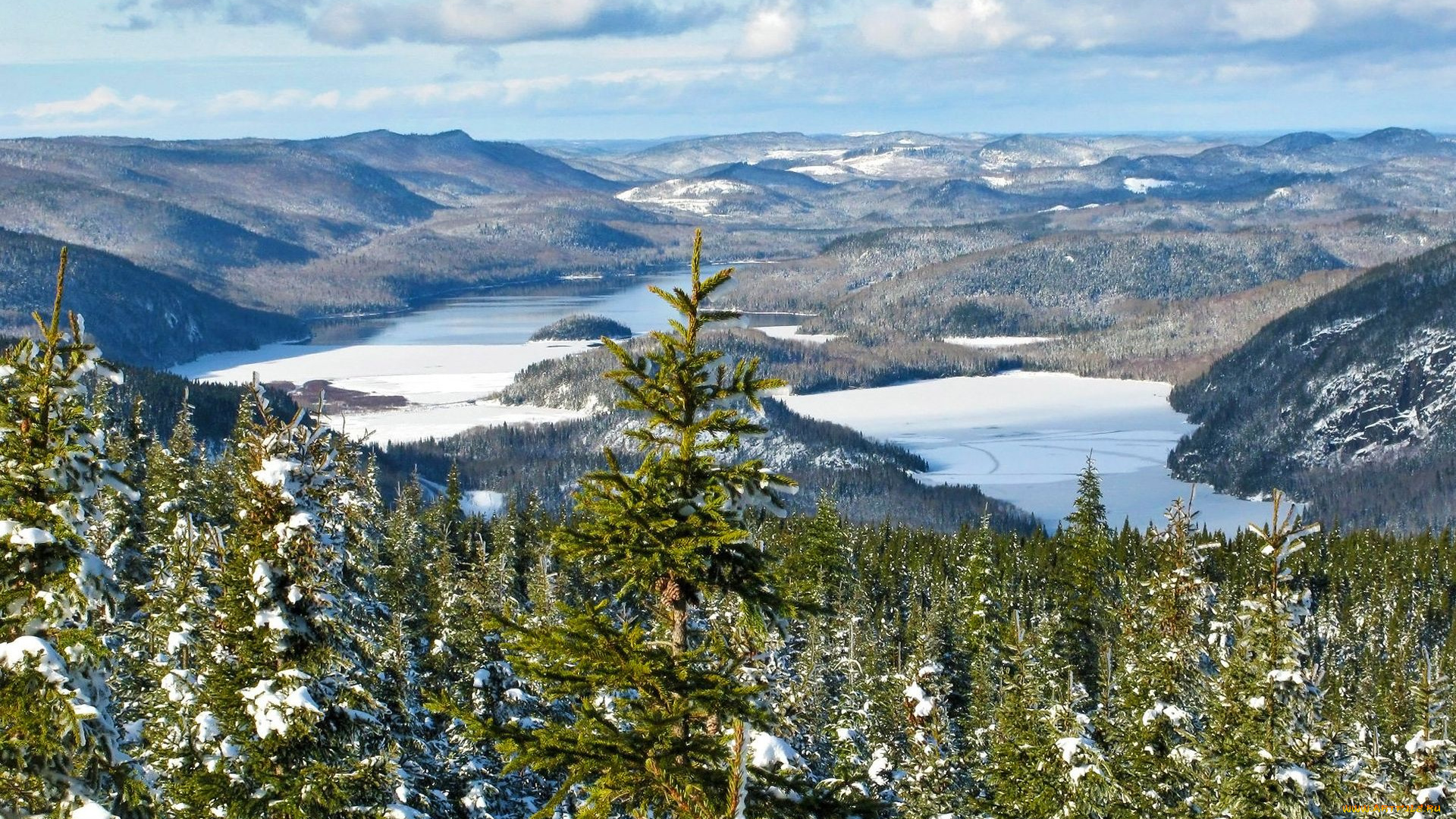 природа, реки, озера, ели, деревья, горы, озеро, пейзаж, зима