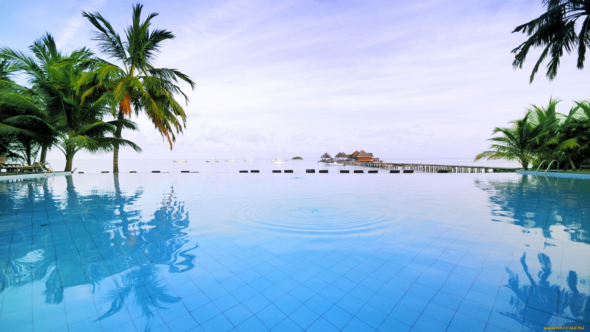 природа, тропики, океан, пальмы, бассейн