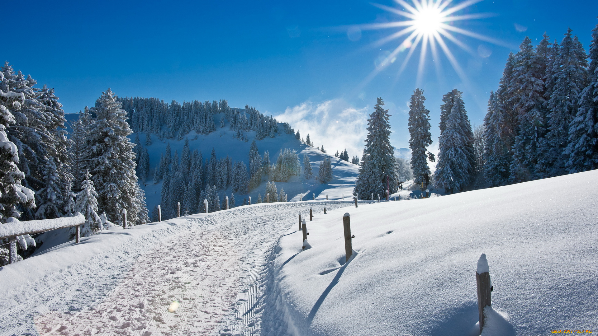 природа, зима, снег, деревья