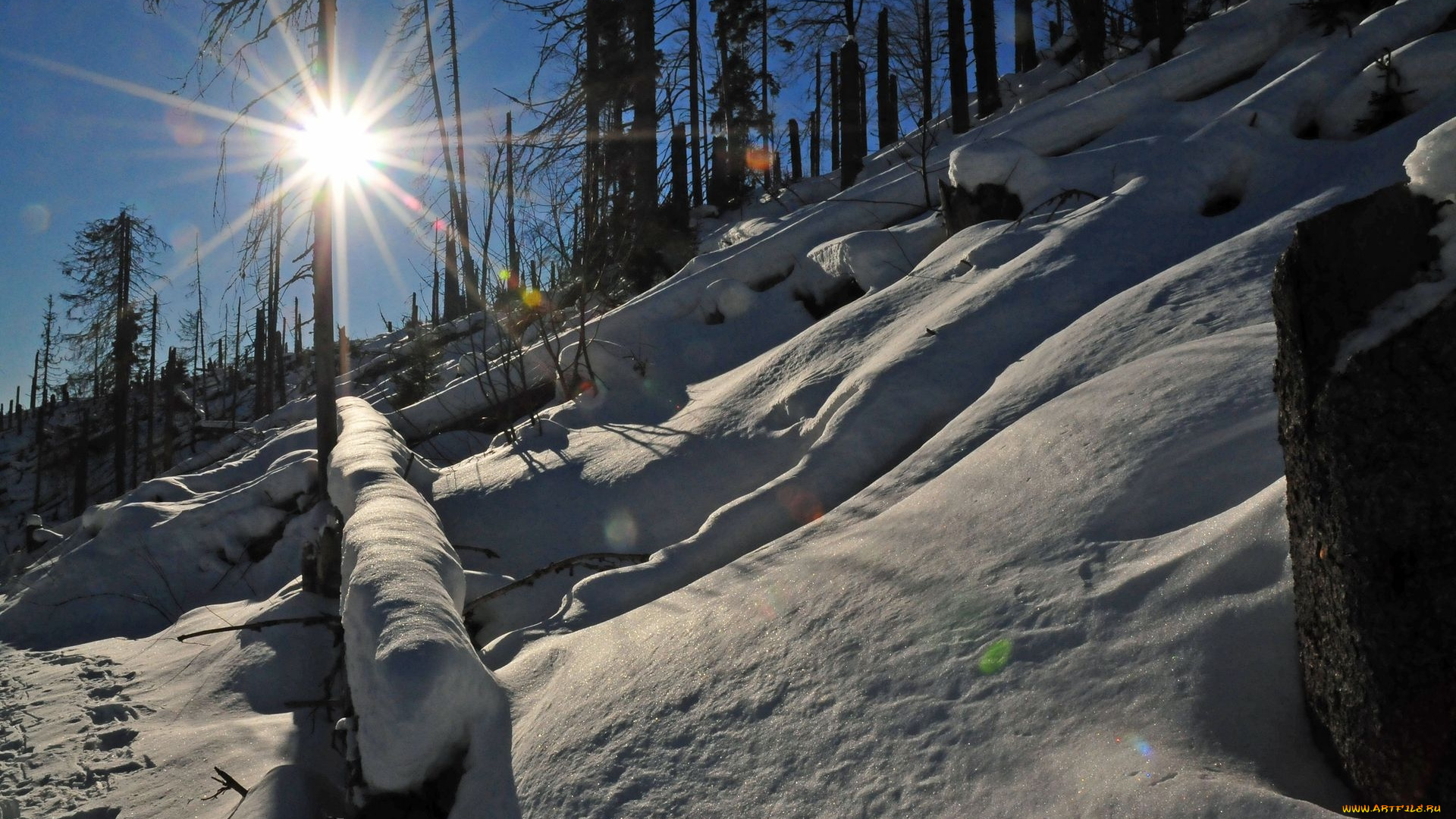 природа, зима, солнце, снег