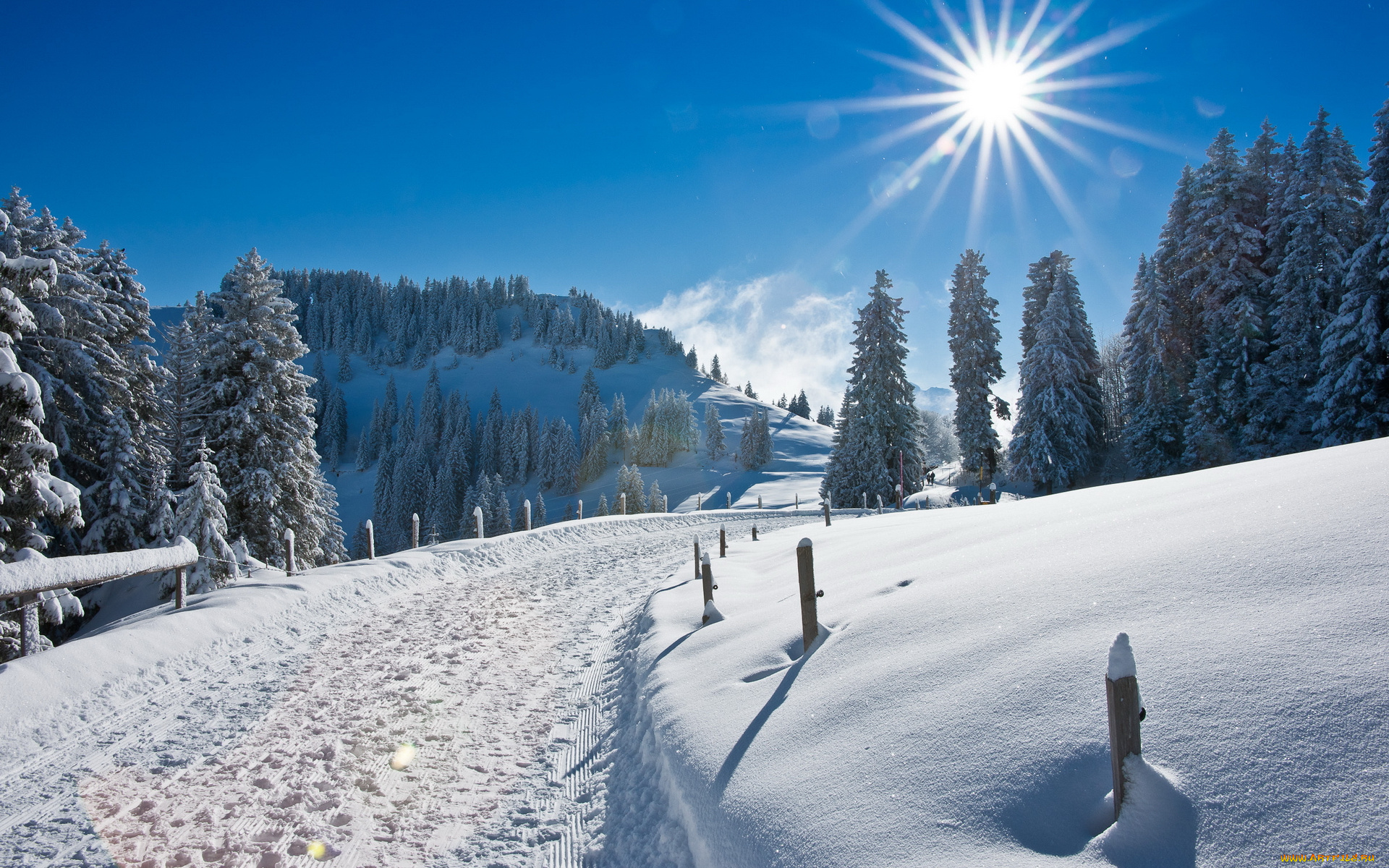 природа, зима, снег, деревья