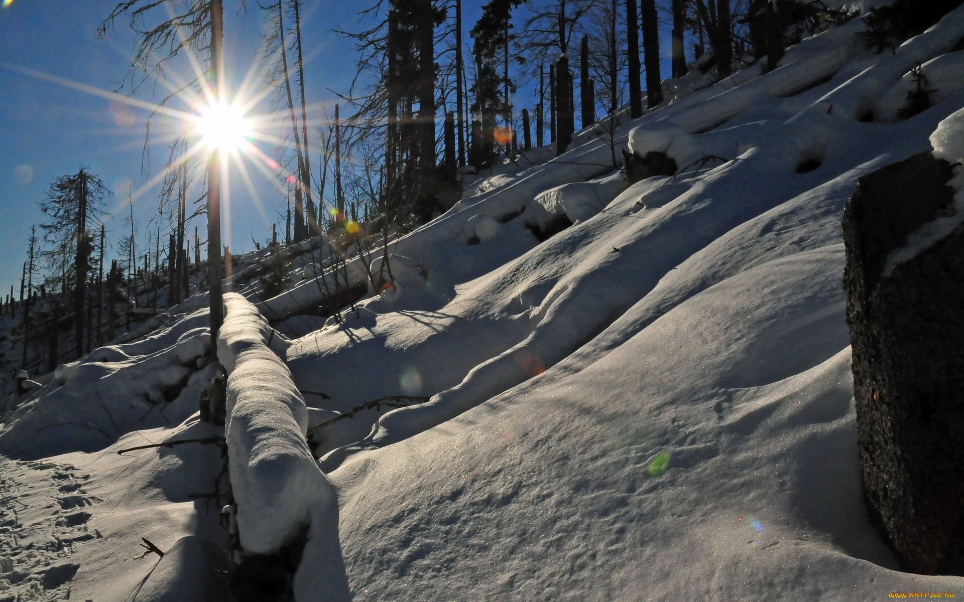 природа, зима, солнце, снег