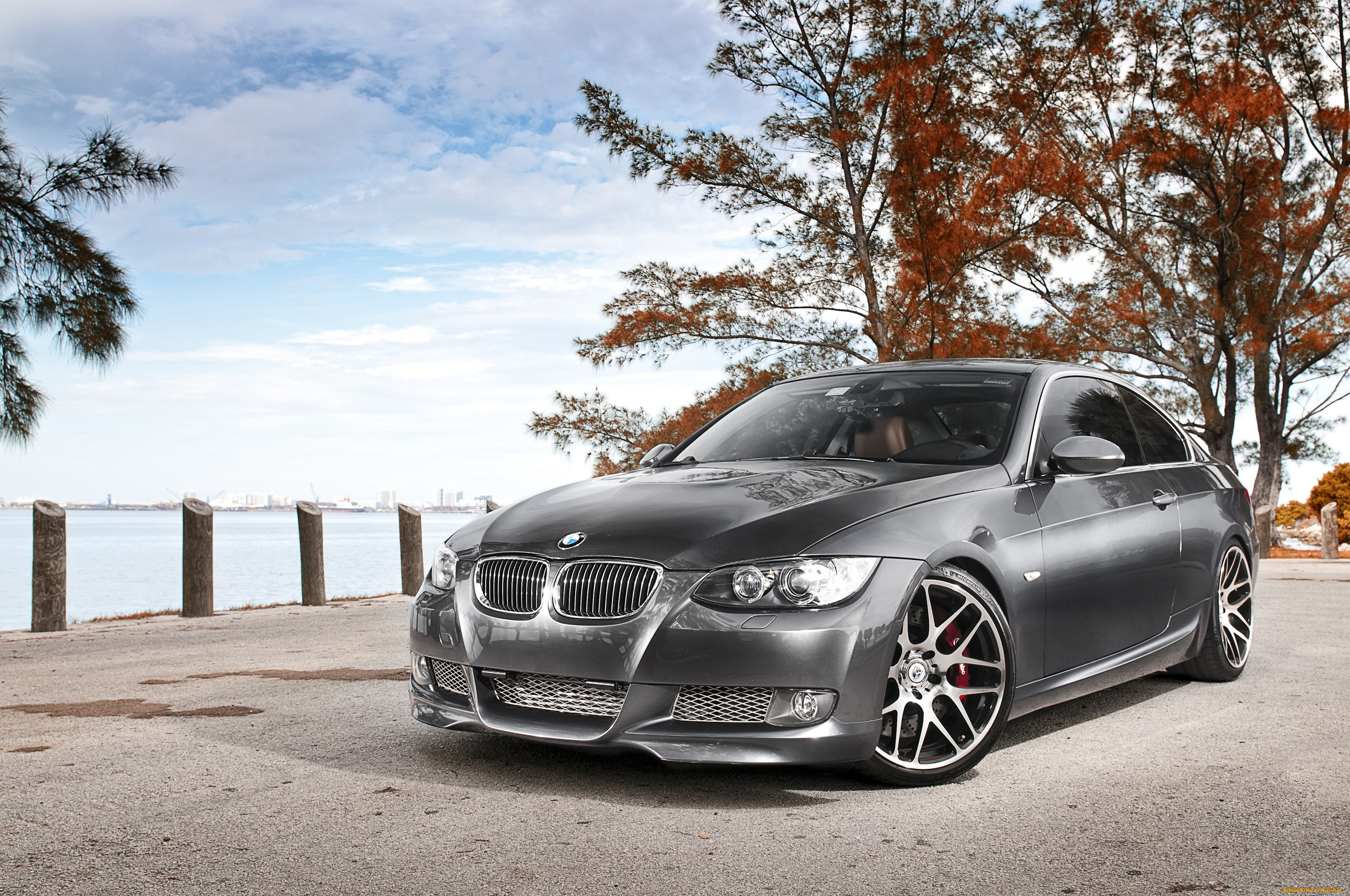 автомобили, bmw, деревья