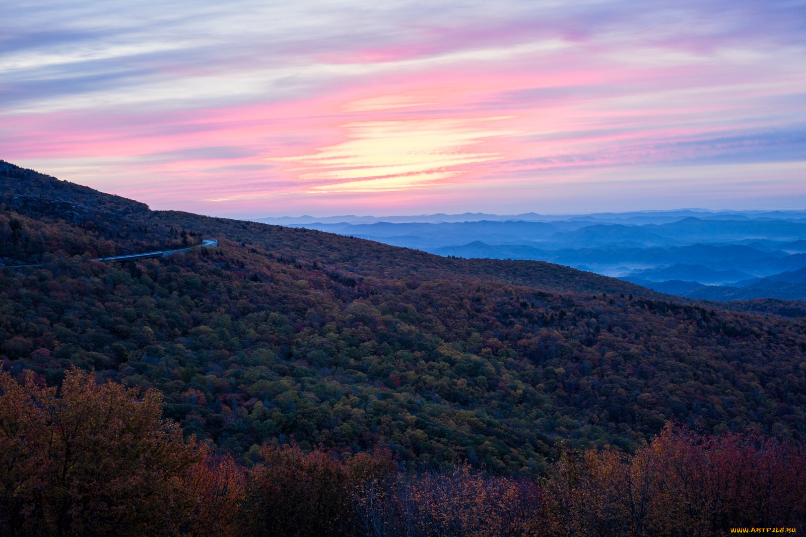 природа, лес, деревья, панорама, небо