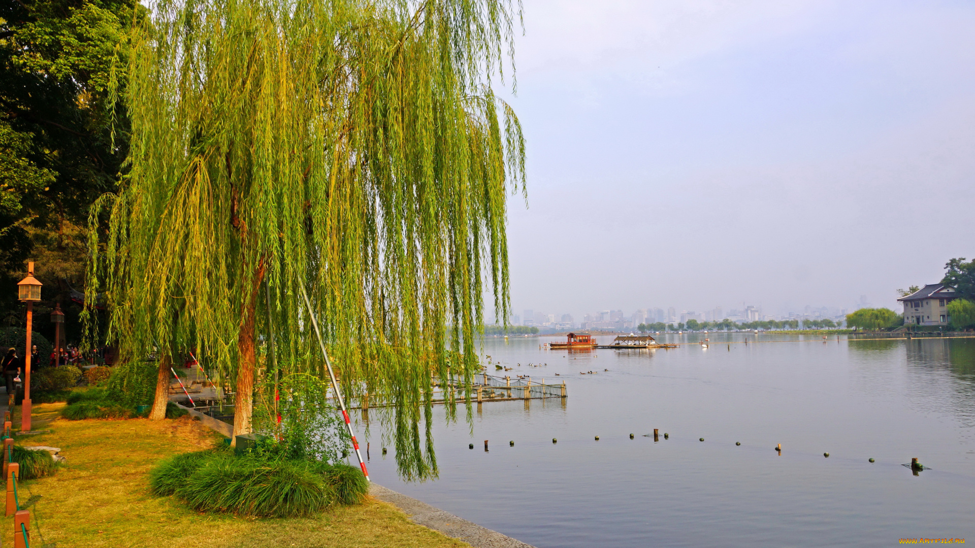 китай, Чжэцзян, ханьчжоу, природа, парк, река, растения