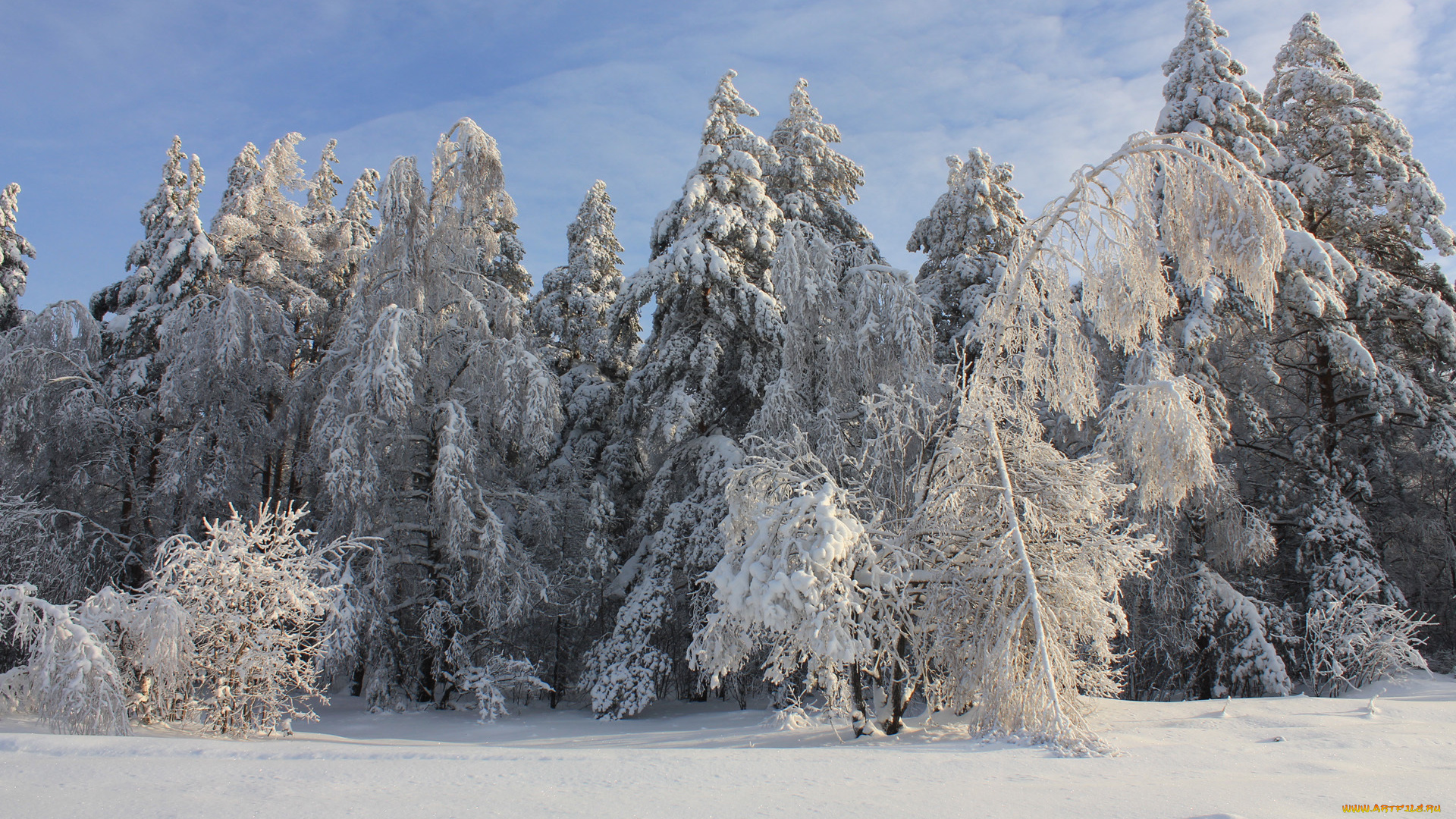 природа, зима, лес, снег, деревья