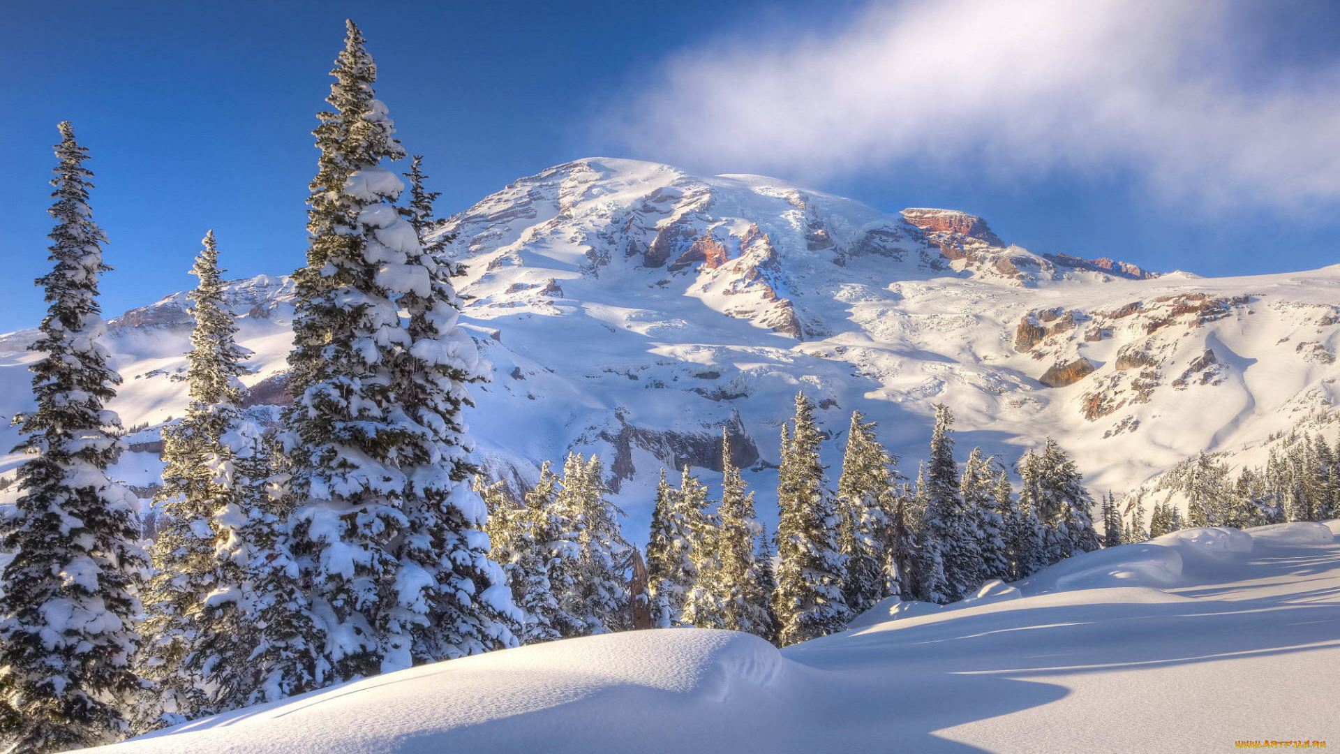 природа, зима, снег