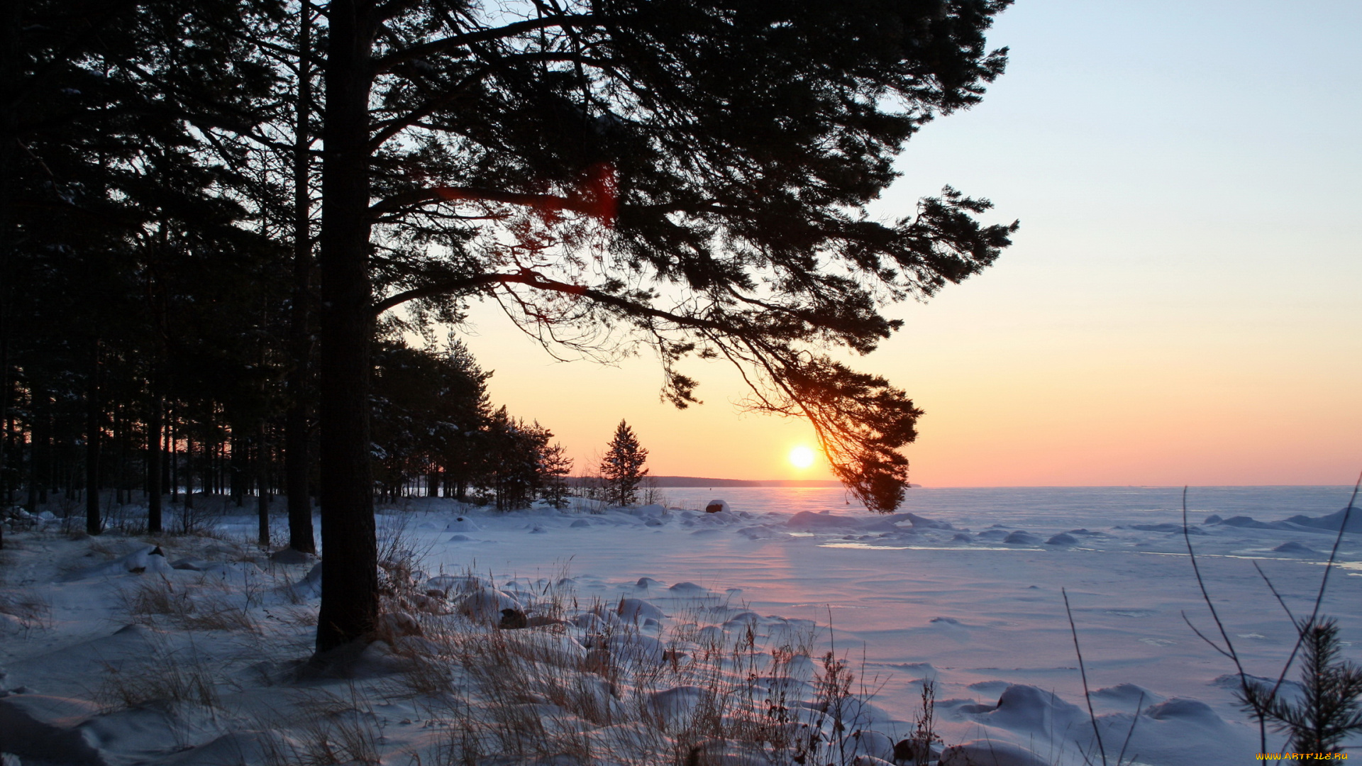 природа, зима, снег