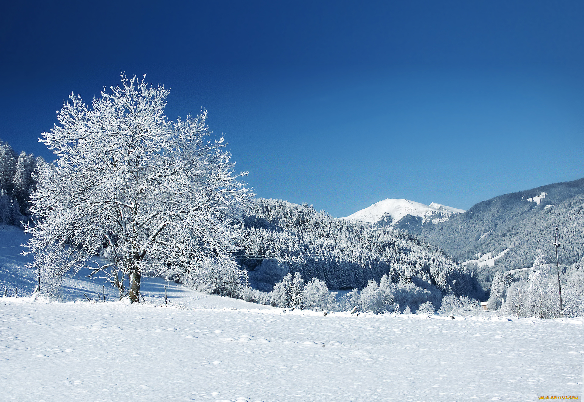 природа, зима, горы, снег