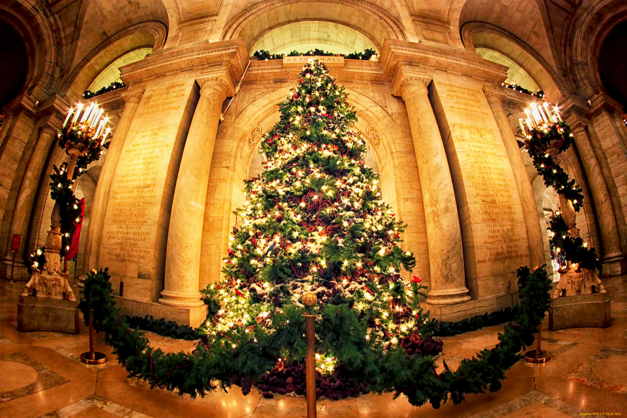 праздничные, Ёлки, ель, нарядная