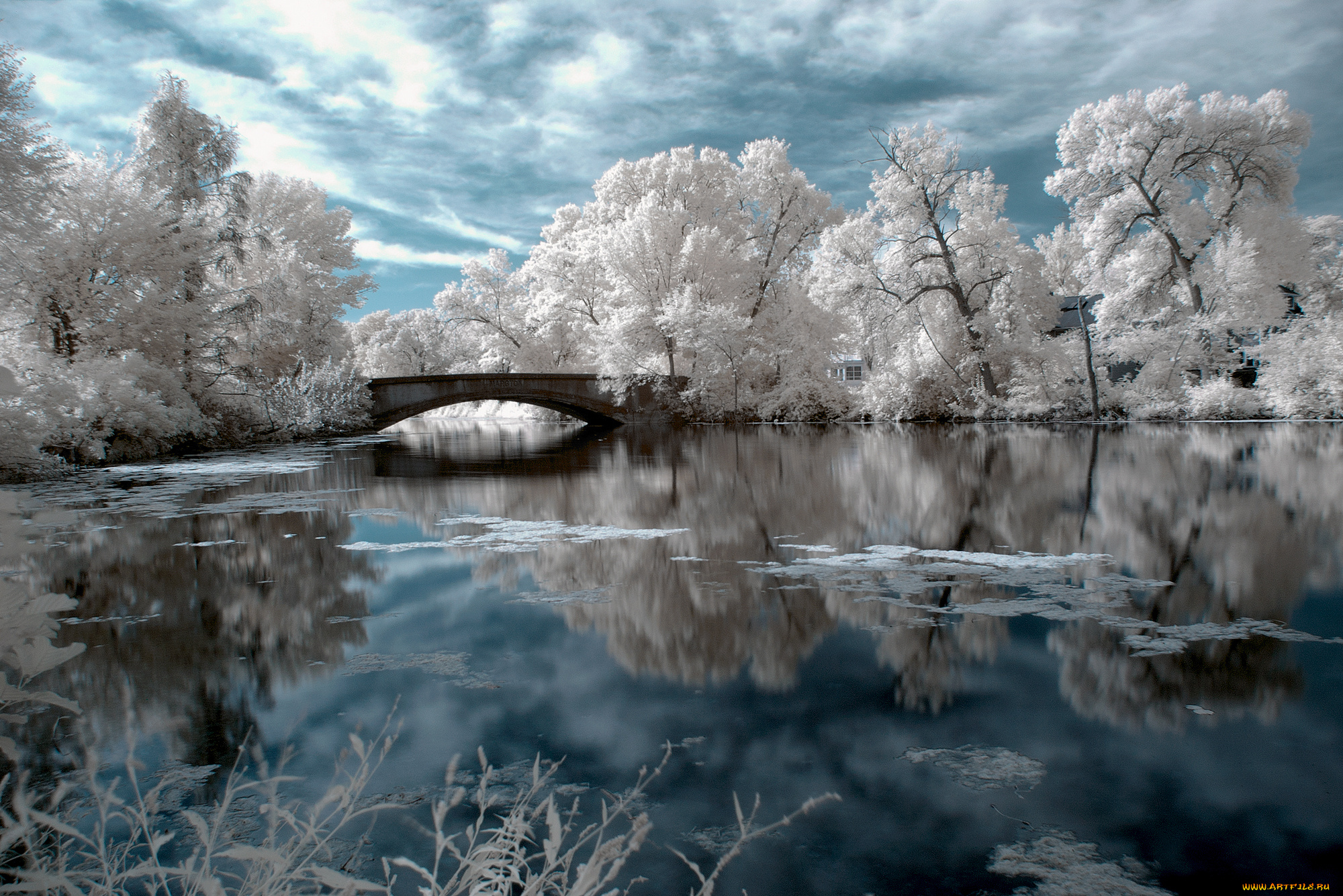 природа, зима, вода, мост, иней, деревья