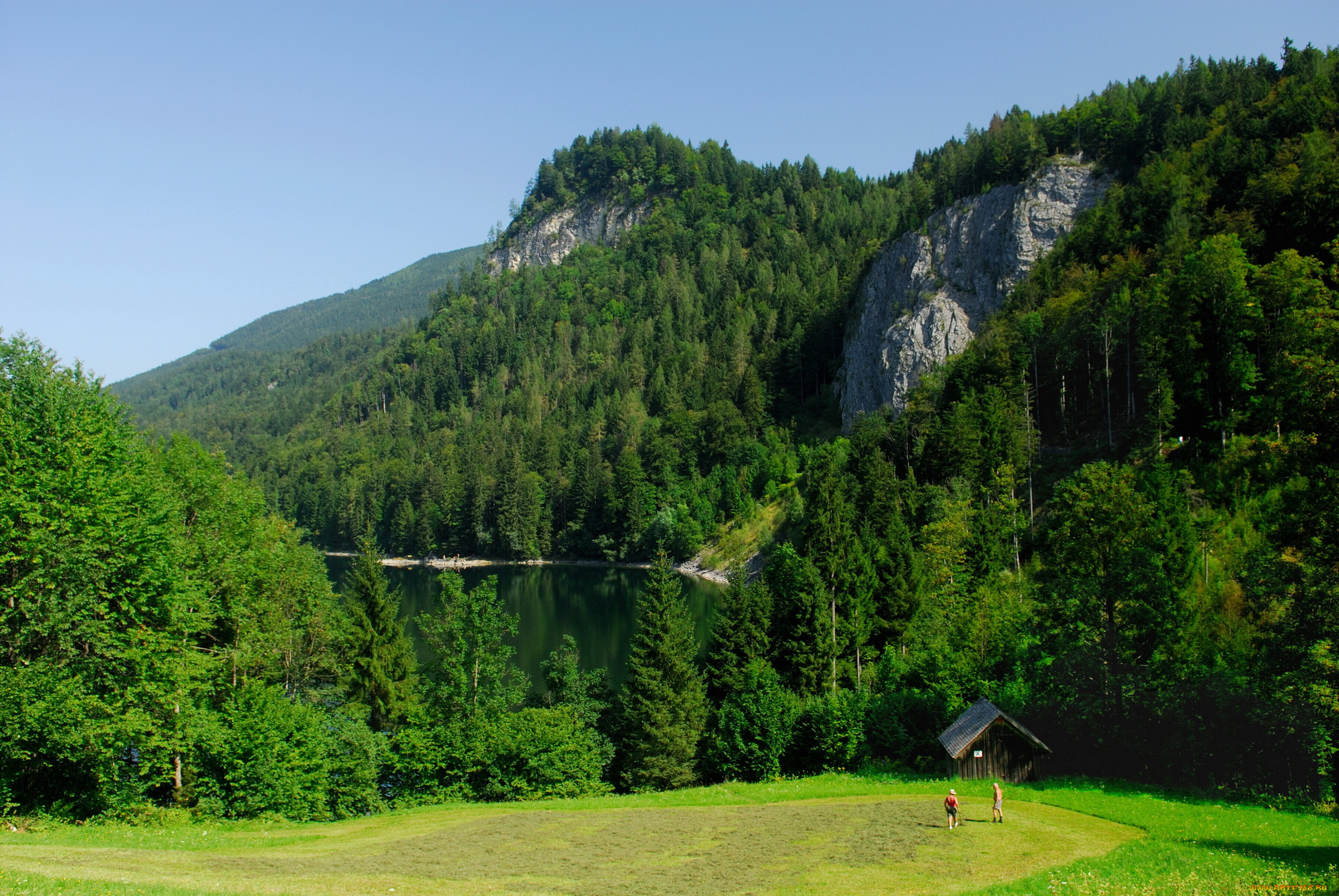 австрия, salzkammergut, природа, горы, озеро, долина