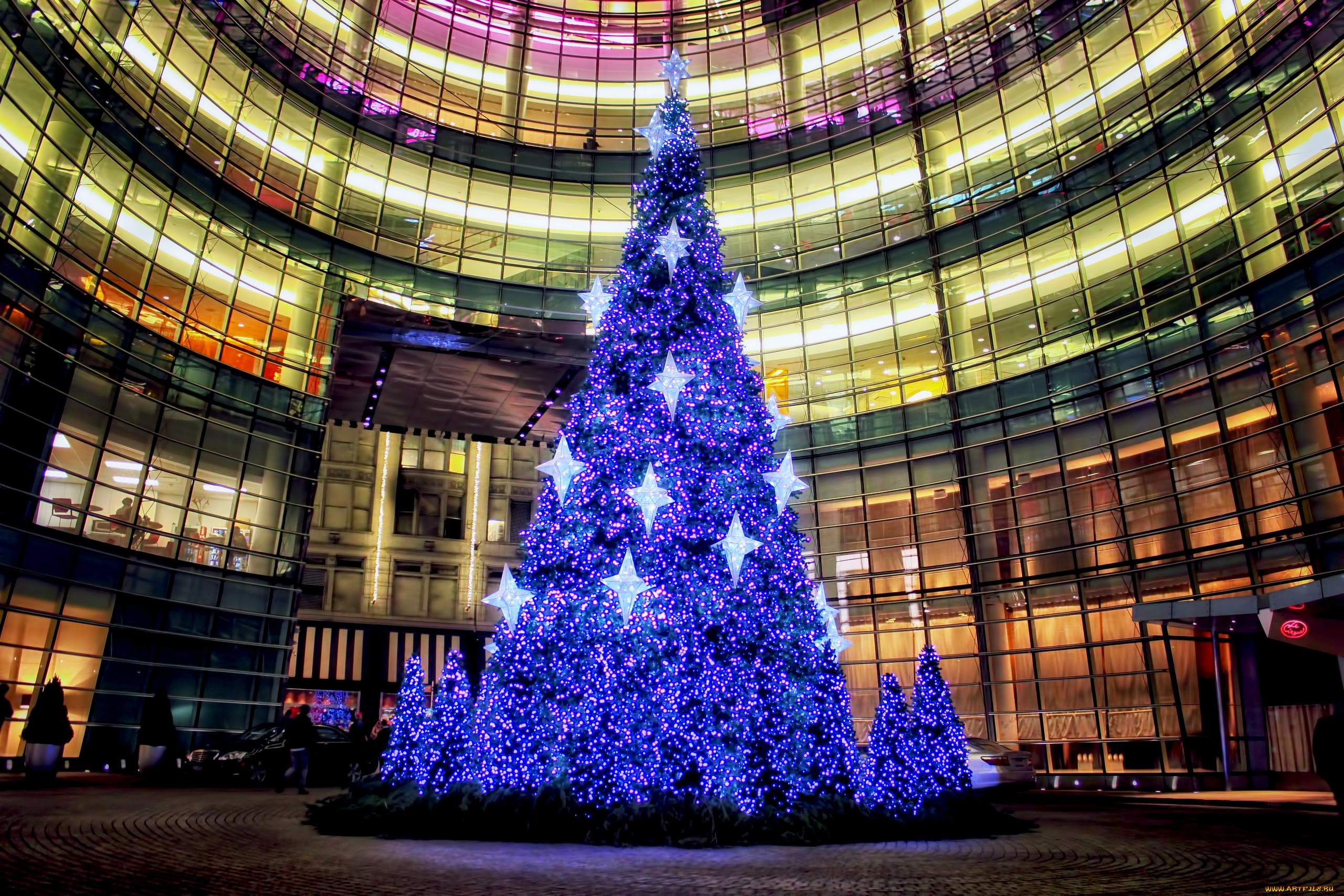 праздничные, Ёлки, центр