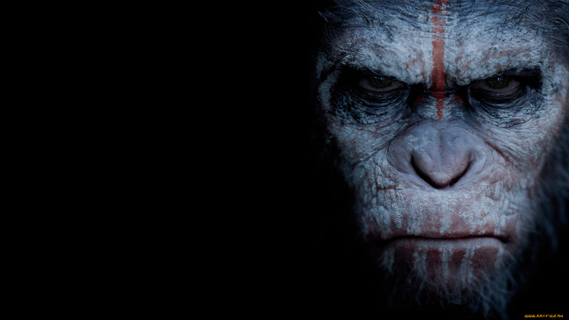 dawn, of, the, planet, of, the, apes, кино, фильмы, революция, планета, обезьян