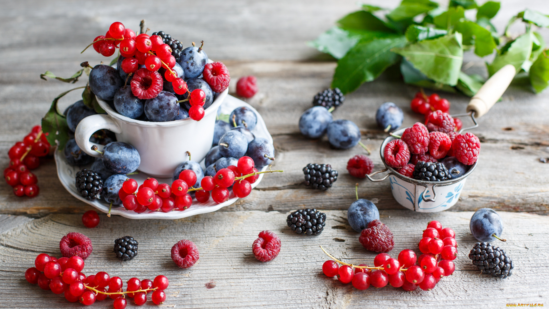 еда, -, фрукты, , ягоды, красная, смородина, сливы, малина, ягоды, ежевика
