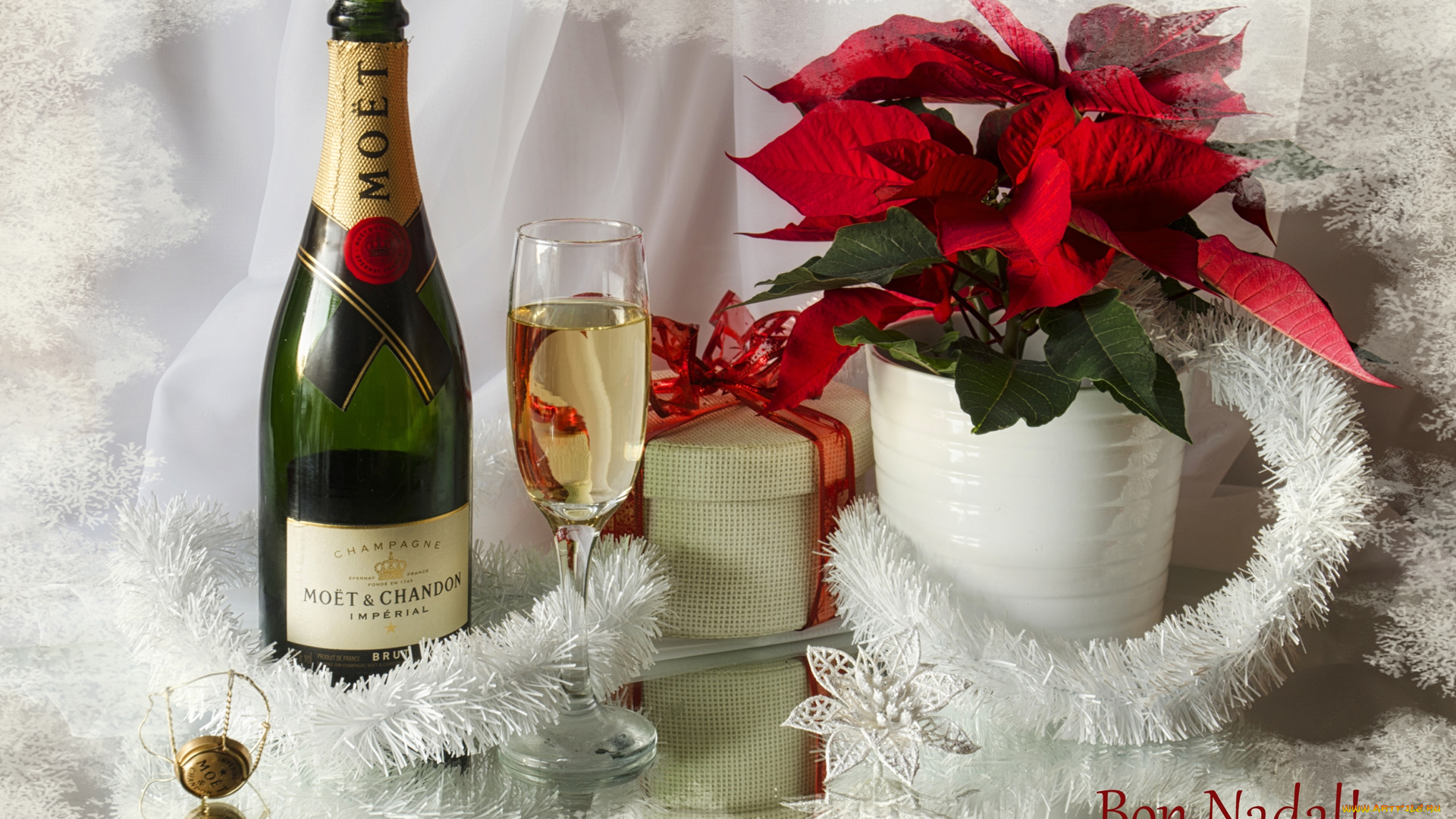 праздничные, угощения, шампанское, пуансеттия