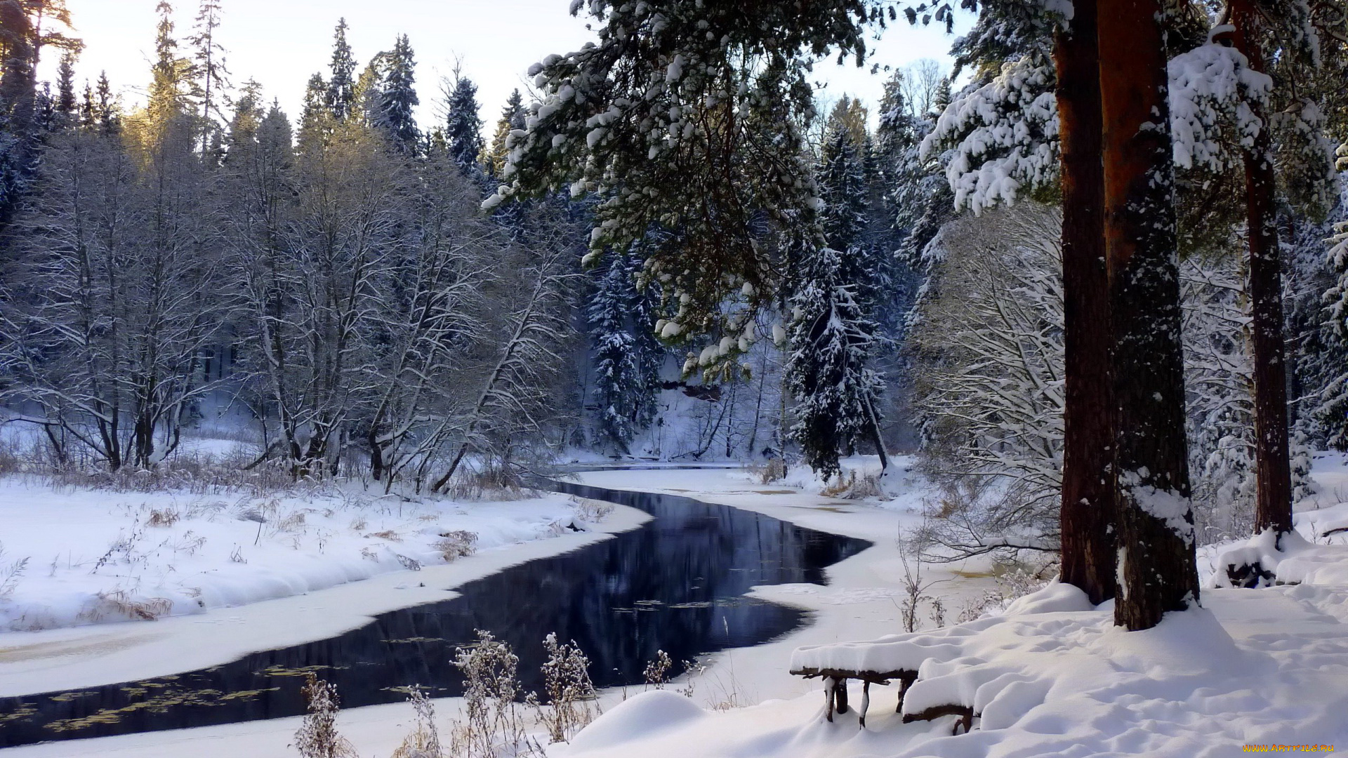 природа, зима, снег, деревья