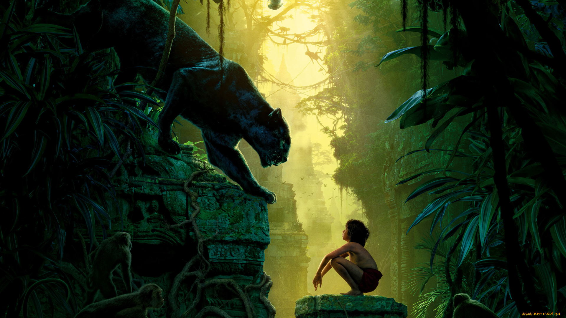 кино, фильмы, the, jungle, book, the, jungle, book