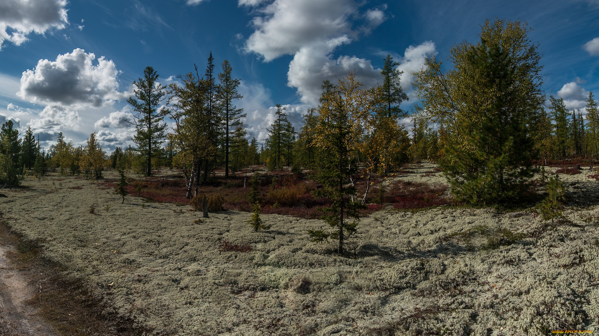 природа, дороги, тракт, подлесок