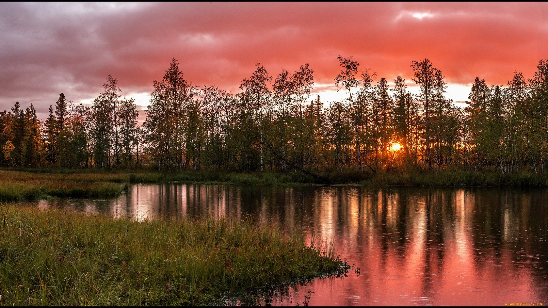 природа, реки, озера, рассвет