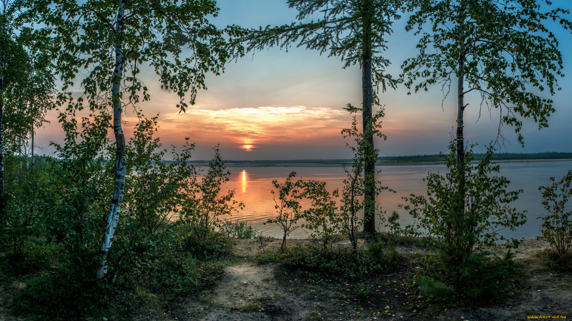 природа, реки, озера, закат, река, лес